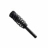 Fcs Struts COMPLETE STRUT ASSEMBLY 4335790